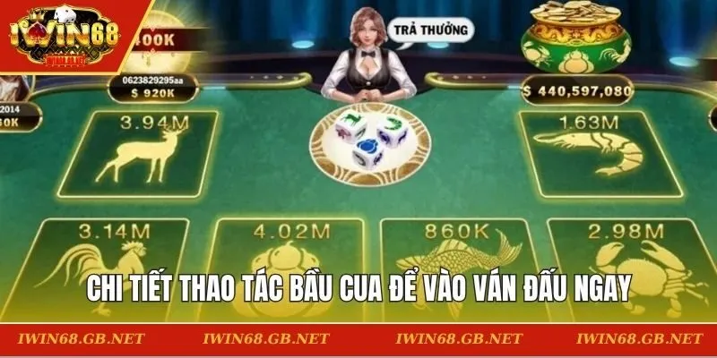 Chi tiết thao tác bầu cua để vào ván đấu ngay