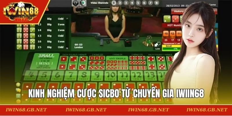Kinh nghiệm cược Sicbo từ chuyên gia IWIIN68